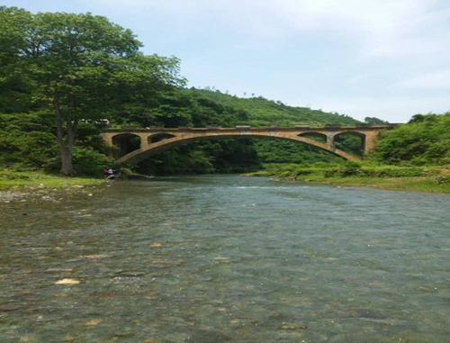 江阳区农林局张坝河段鱼类补救项目